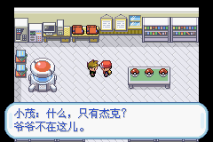 口袋妖怪火红移植版 第3张图