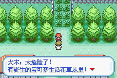 口袋妖怪火红移植版 第4张图