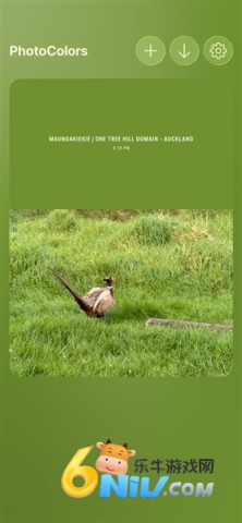 17793645306366_water