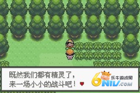 �ڴ����ּ���ʯ ��6��ͼ