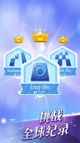 17803135246633