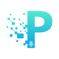 P2P������
