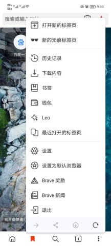 Brave浏览器 第3张图