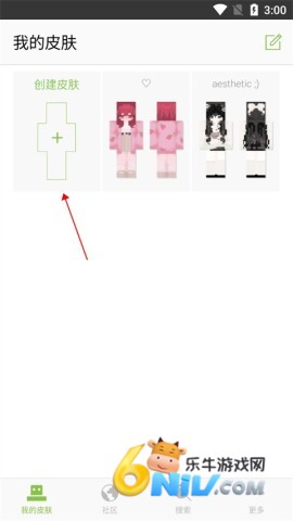 Skinseed ��4��ͼ