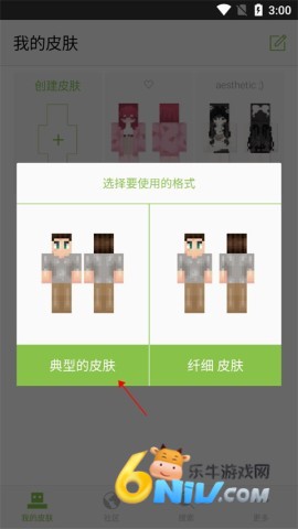 Skinseed ��5��ͼ