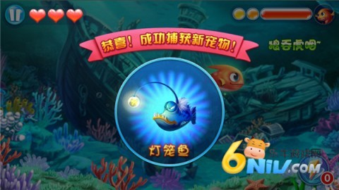 17800782678302_water
