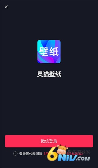 灵猫壁纸 第3张图