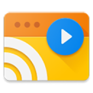 Web Video Caster