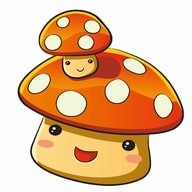 ����������ֽ