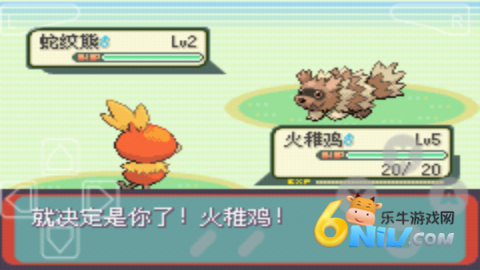 口袋妖怪绿宝石精装版特殊地形 口袋妖怪绿宝石精装版 第2张图