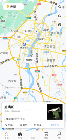 渔获天气预报 第1张图