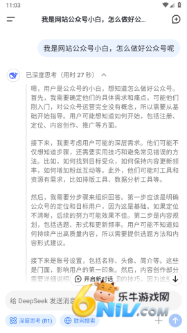 deepseek正版 第4张图