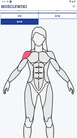 musclewiki健身 第2张图