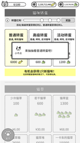 猫咪真的很可爱 第2张图