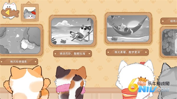 猫咪疗愈所 第1张图