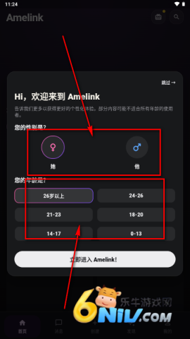AMELINK 第3张图
