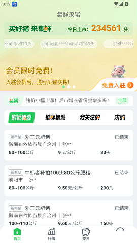 集鲜采猪 第5张图