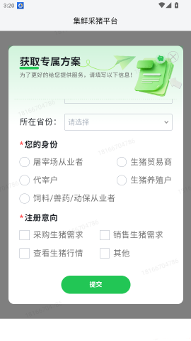 集鲜采猪 第4张图