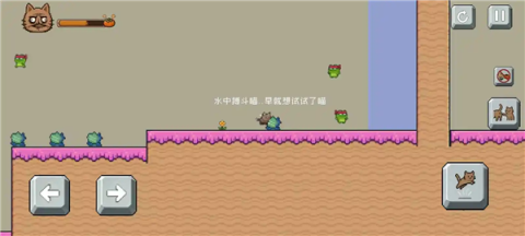 药柿了喵 第2张图