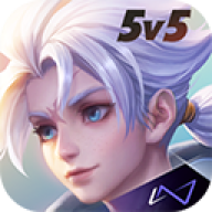 arena of valor���ʷ�