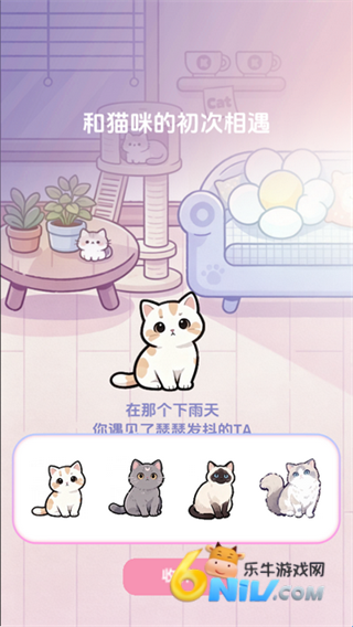 橘子小屋 第5张图