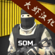 SOM���ֺ�����