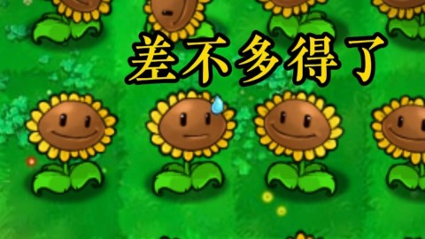 植物大战僵尸招笑版 第3张图