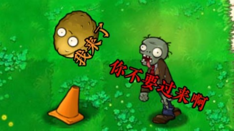植物大战僵尸招笑版 第5张图