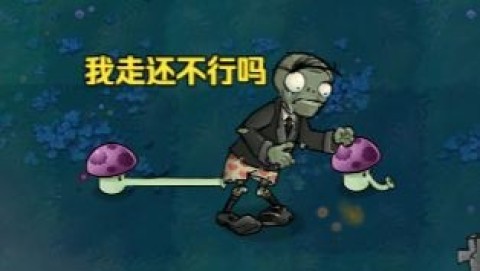 植物大战僵尸招笑版 第8张图