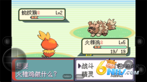 口袋妖怪绿宝石386版 第4张图