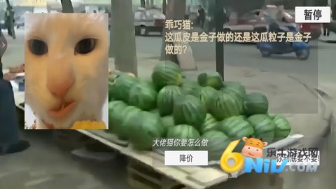 猫猫惊魂夜恐怖版 第1张图