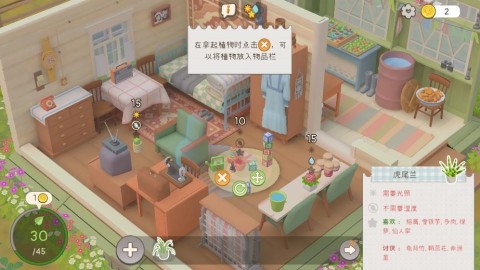我的小绿屋 第3张图