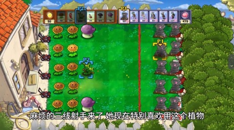 植物大战僵尸双人对战版 第4张图