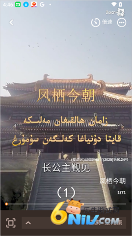 boran博燃 第2张图