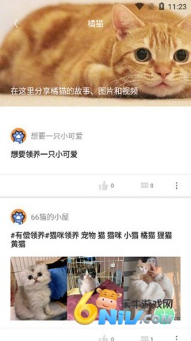 握爪宠物 第7张图
